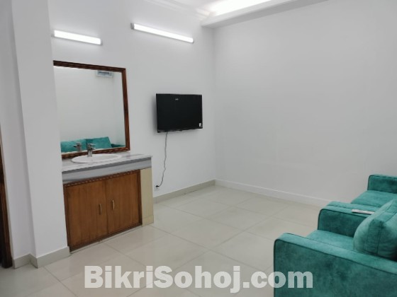 2 Bedroom Full Furnished Flat
